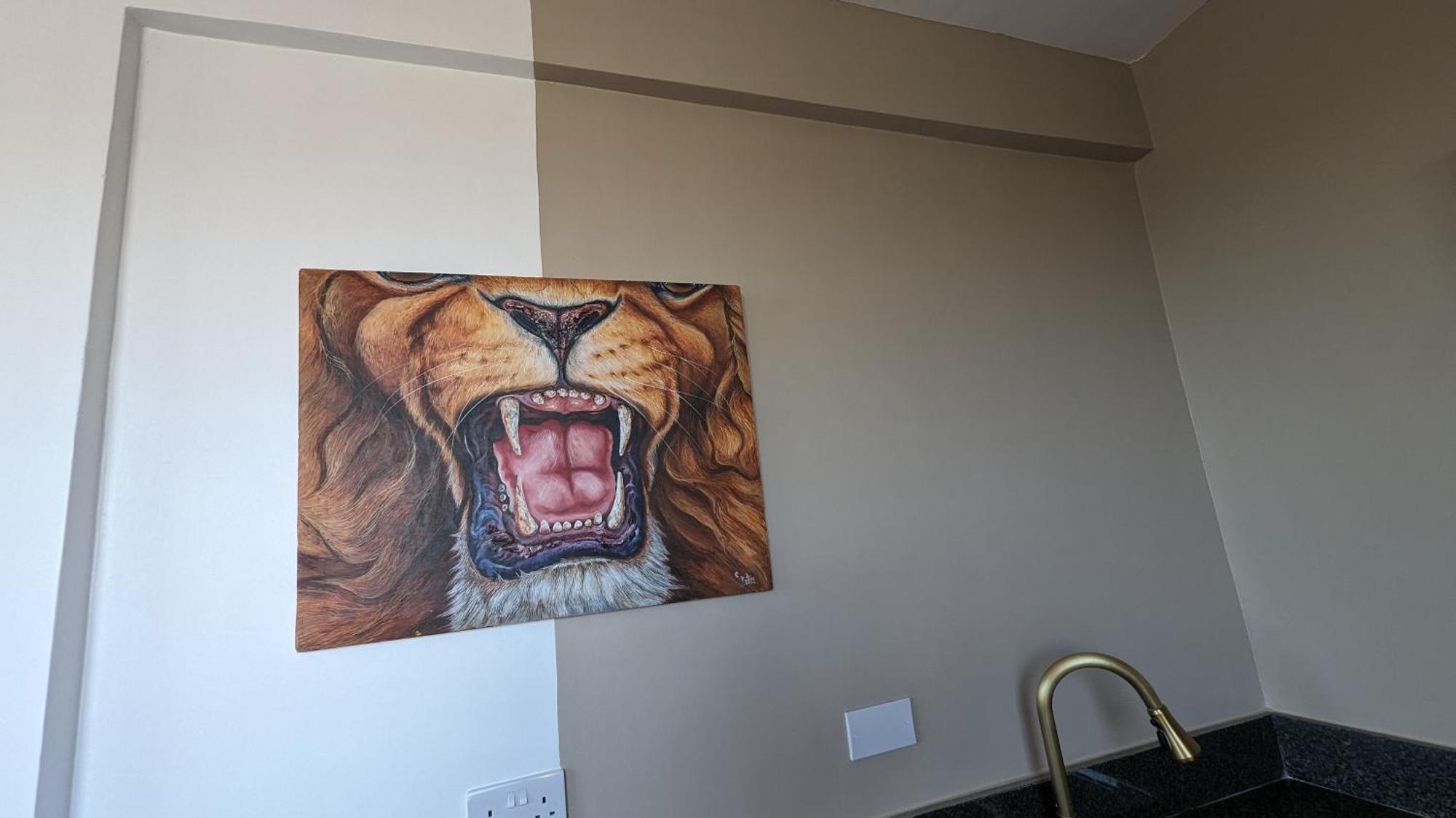 Mufasa City Hostel And Apartments Arusha Rum bild